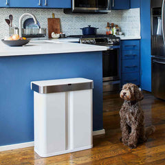 58L dual compartment rectangular sensor bin with voice and motion control - white steel - lifestyle in kitchen with dog